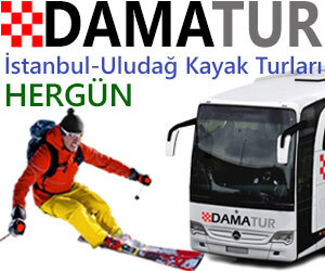 Tours and transfers