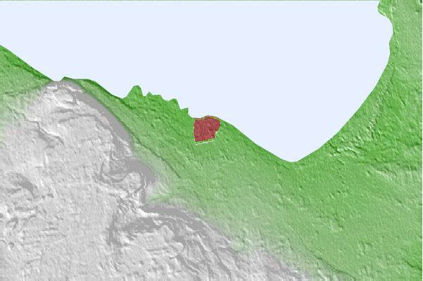 @{@location.name} neighbourhood basemap