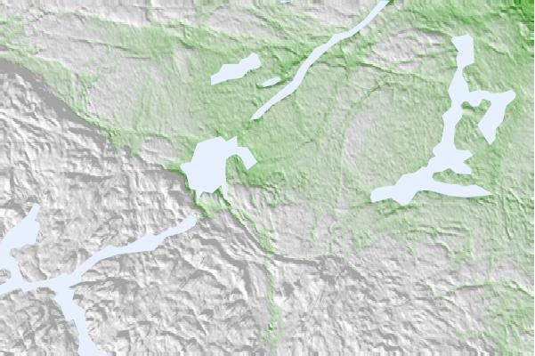 @{@location.name} neighbourhood basemap