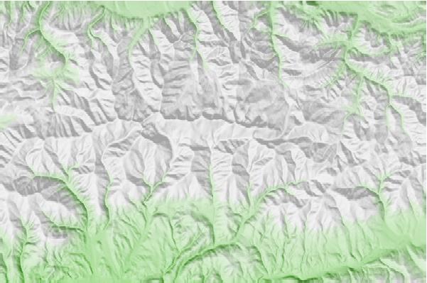 @{@location.name} neighbourhood basemap