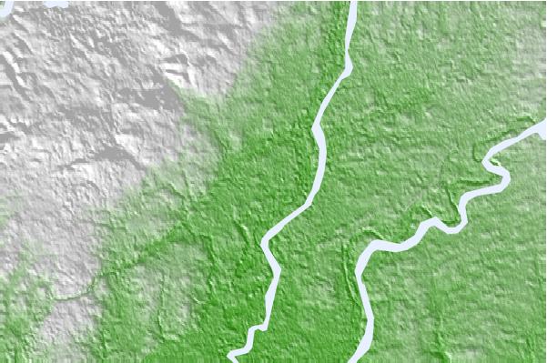 @{@location.name} neighbourhood basemap