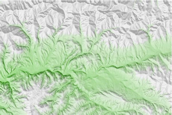 @{@location.name} neighbourhood basemap